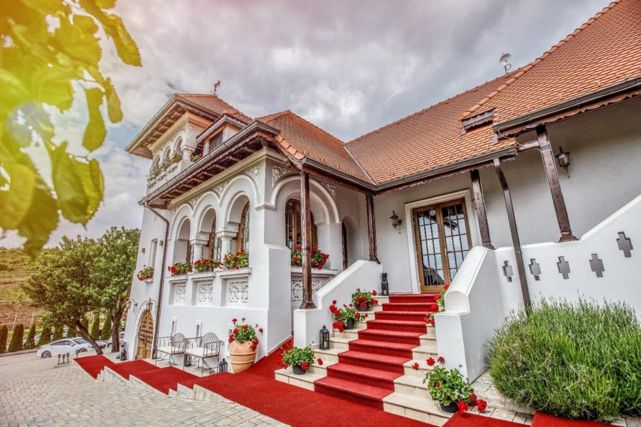 Casa Timis - Wellness & Spa Resort Chitorani Bagian luar foto The entrance of the winery